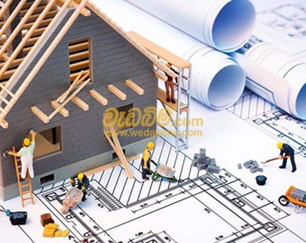 Other image 202508/wedabima.com_h737F39Jd4Ck8JkfpFWP143NGssTf4SN6AAKLlzU.jpeg