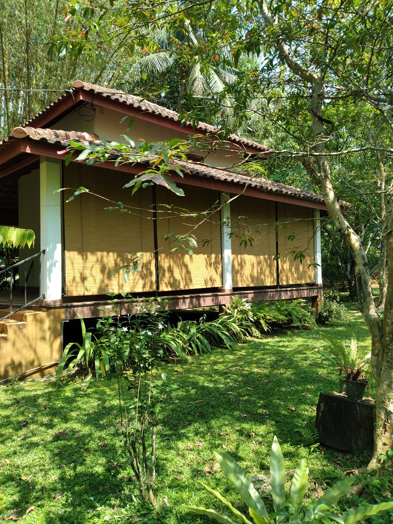 Other image 202509/bamboo-blinds-price-in-galle-wedabima-caf4d4b47f.jpg