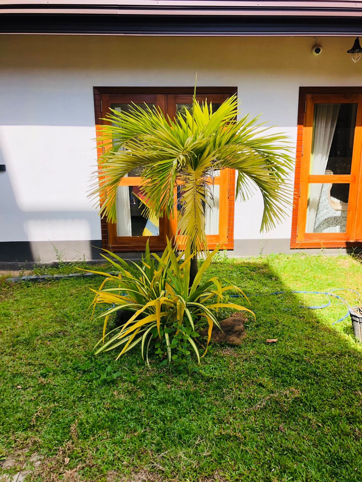 Other image 202509/fair-face-and-landscaping-kottawa-colombo-wedabima-b3ad5ea12c.jpeg