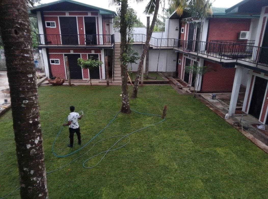 Other image 202510/australian-grass-fixing-kotte-wedabima-0135280593.jpg