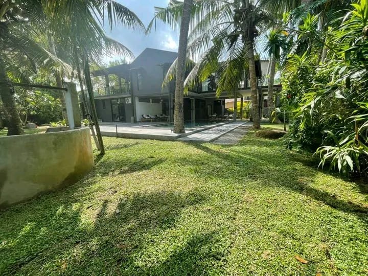 Other image 202510/australian-grass-fixing-kotte-wedabima-84c0bc5df1.jpeg