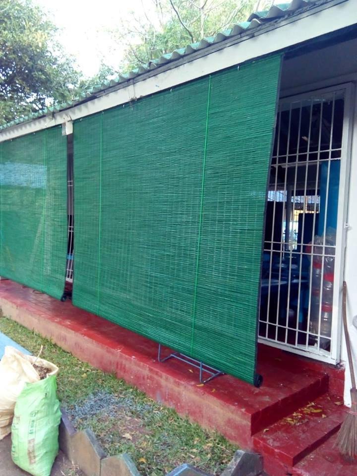 Other image 202510/bata-palali-for-sale-in-sri-lanka-wedabima-26c8eb48e0.jpg