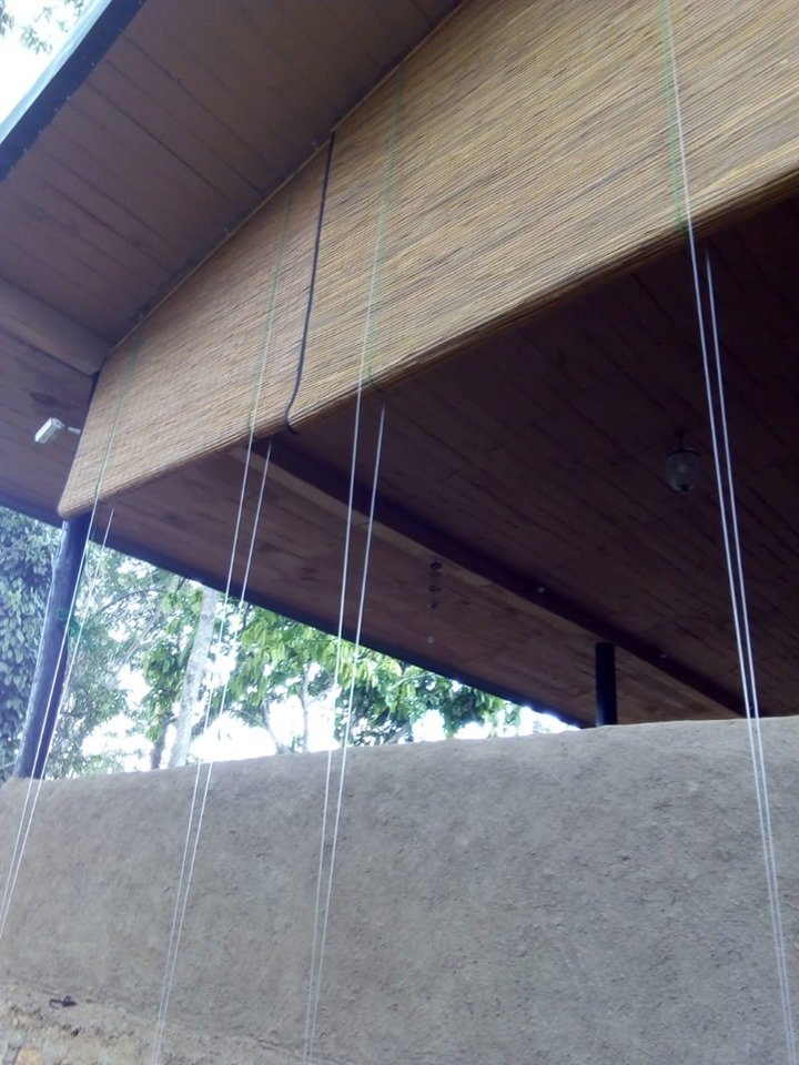 Other image 202510/bata-palali-sri-lanka-best-prices-quality-shop-wedabima-8312ee5b1b.jpg