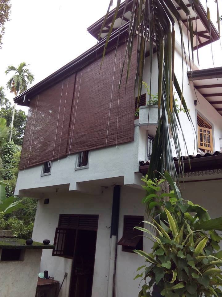 Other image 202510/bata-palali-sri-lanka-best-prices-quality-shop-wedabima-cf3231d853.jpg