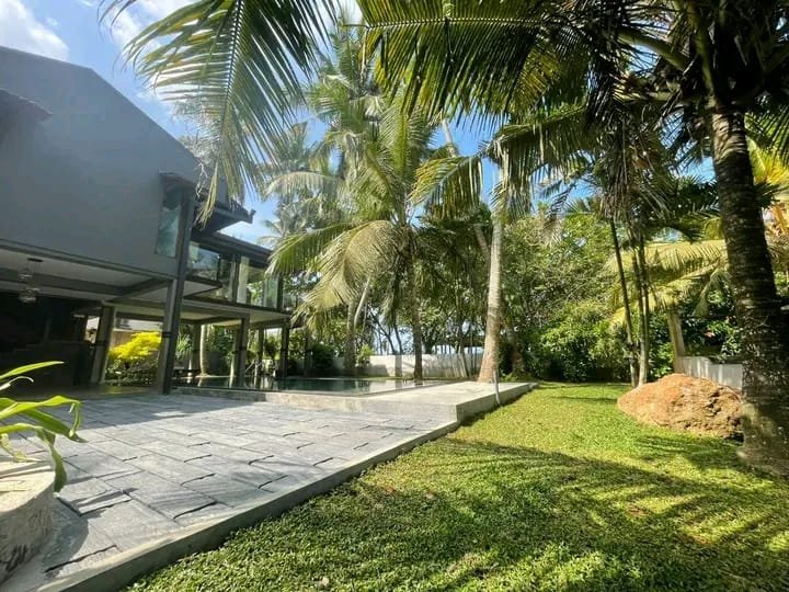 Other image 202510/garden-decoration-price-in-kotte-wedabima-1bbe98c709.jpeg