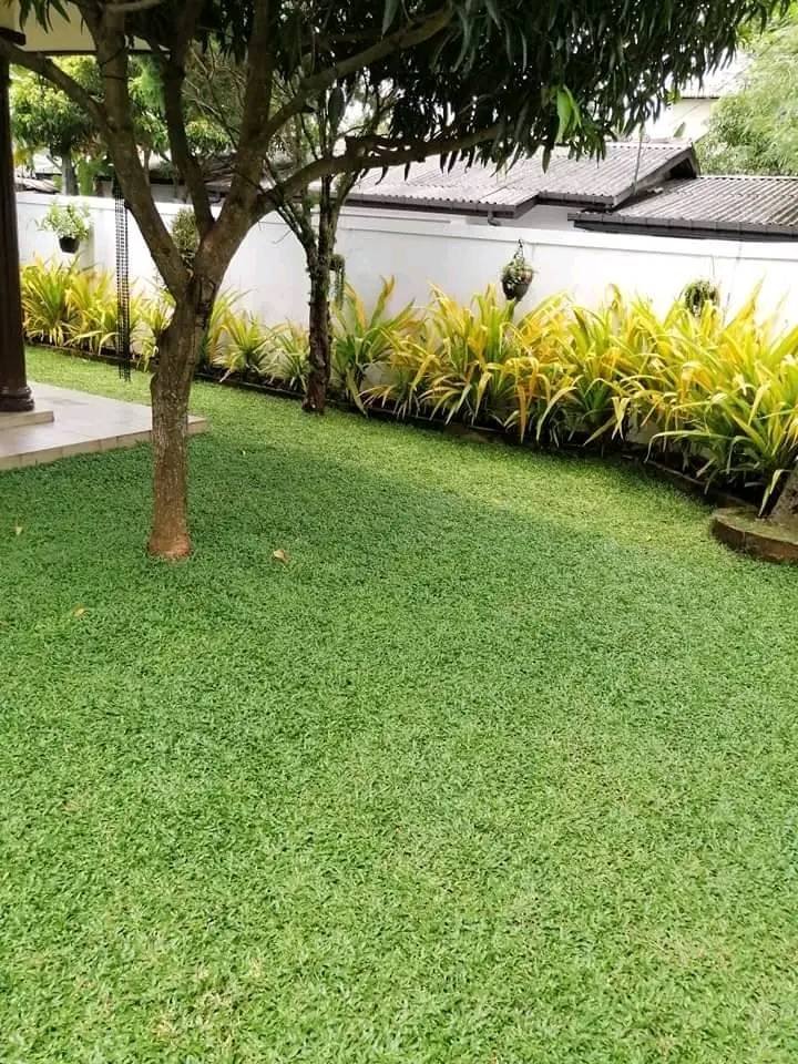 Other image 202510/garden-decoration-price-in-kotte-wedabima-622a858bbb.jpg