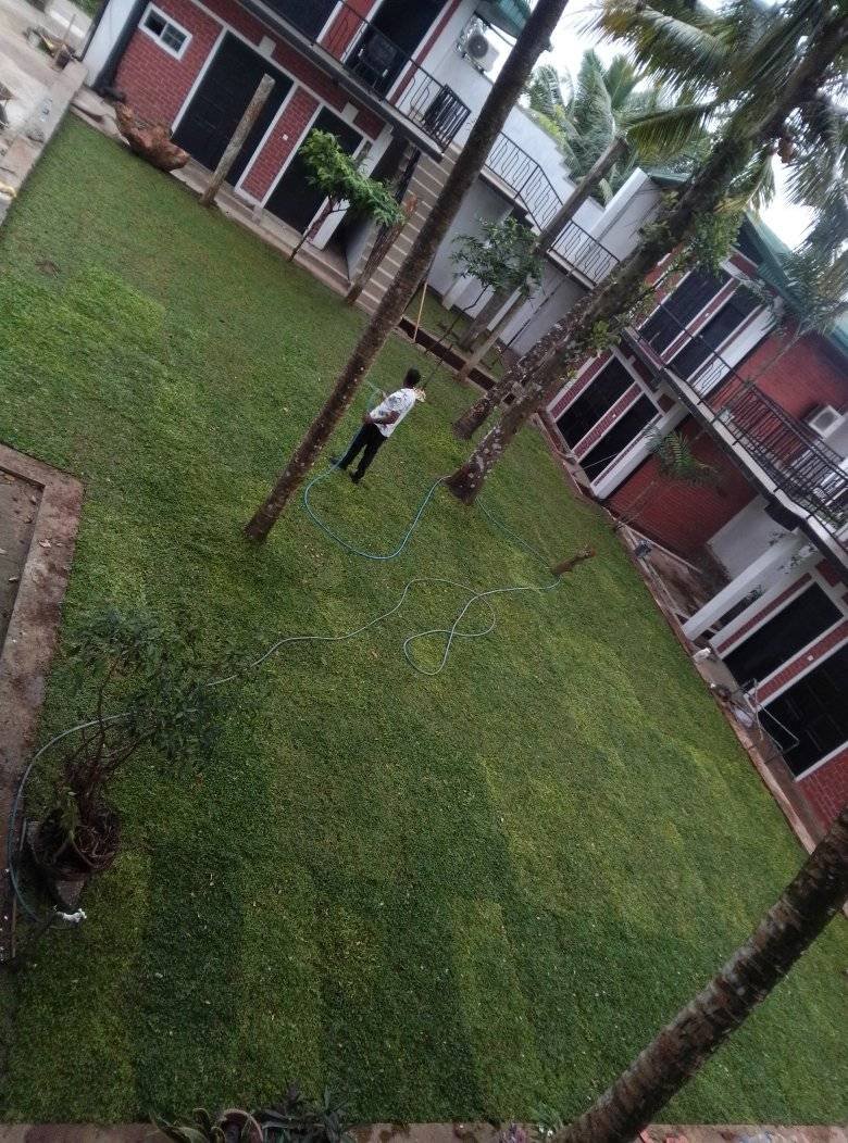 Other image 202510/garden-decoration-price-in-kotte-wedabima-e74d175efe.jpg