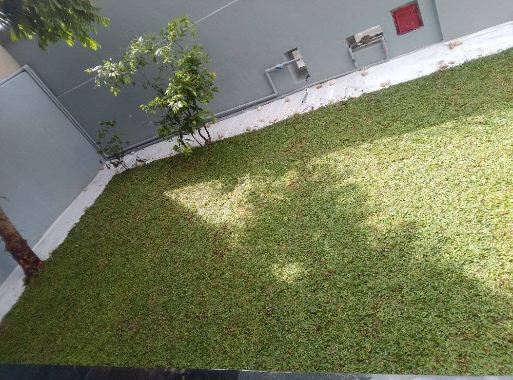 Other image 202510/landscaping-gardening-solutions-colombo-wedabima-2710eee736.jpg