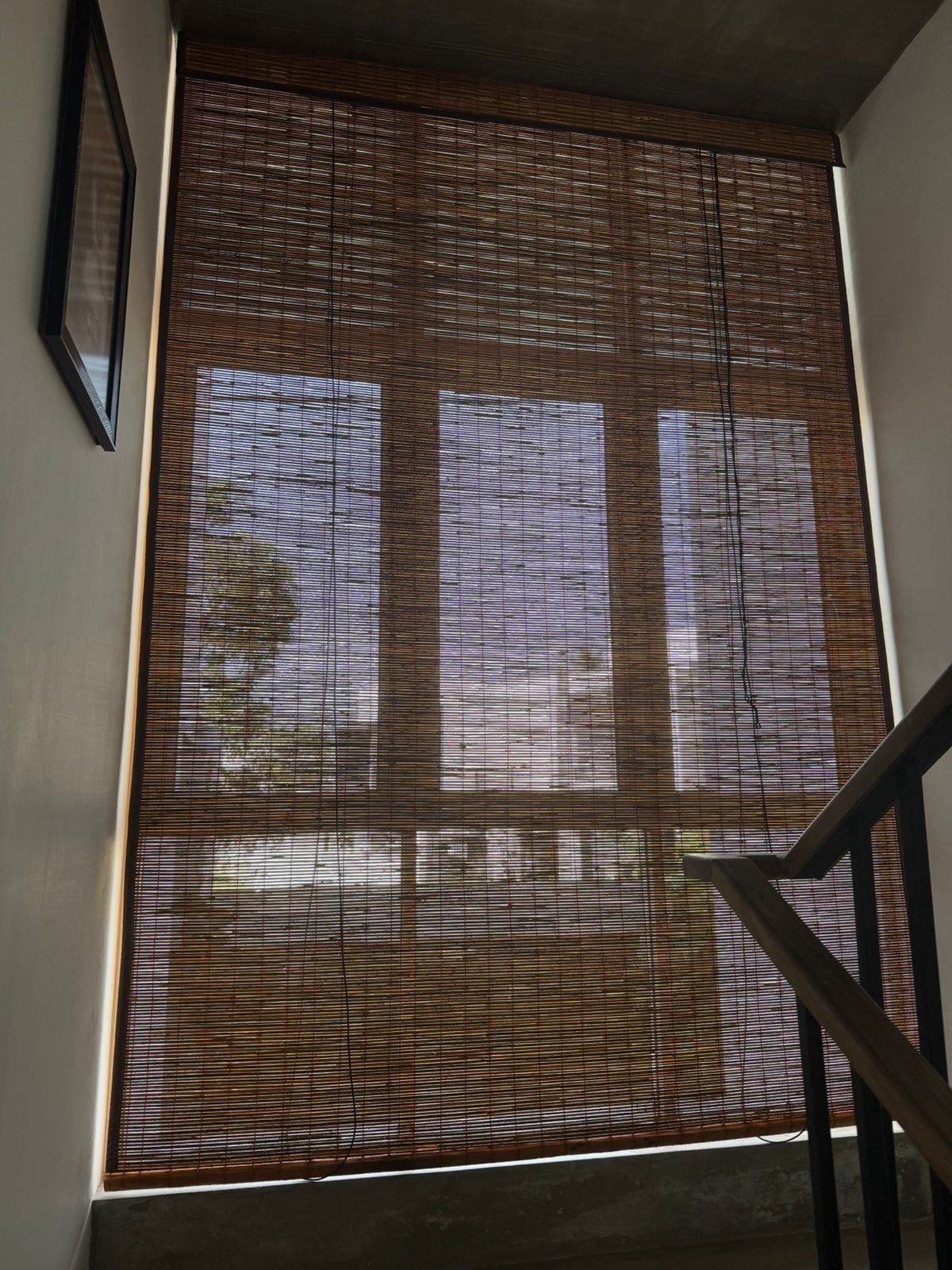 Other image 202602/bata-palali-in-sri-lanka-wedabima-9b19d06b4f.jpeg