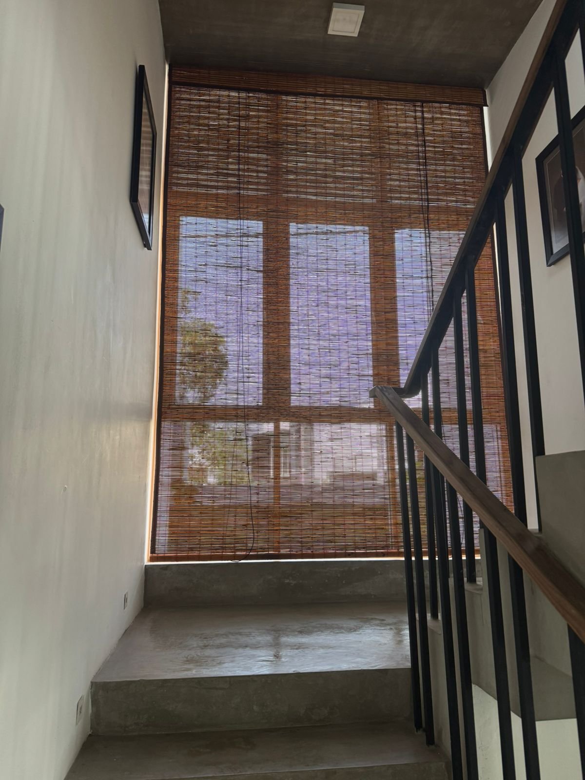 Other image 202602/bata-palali-in-sri-lanka-wedabima-d5a8b6fd69.jpeg