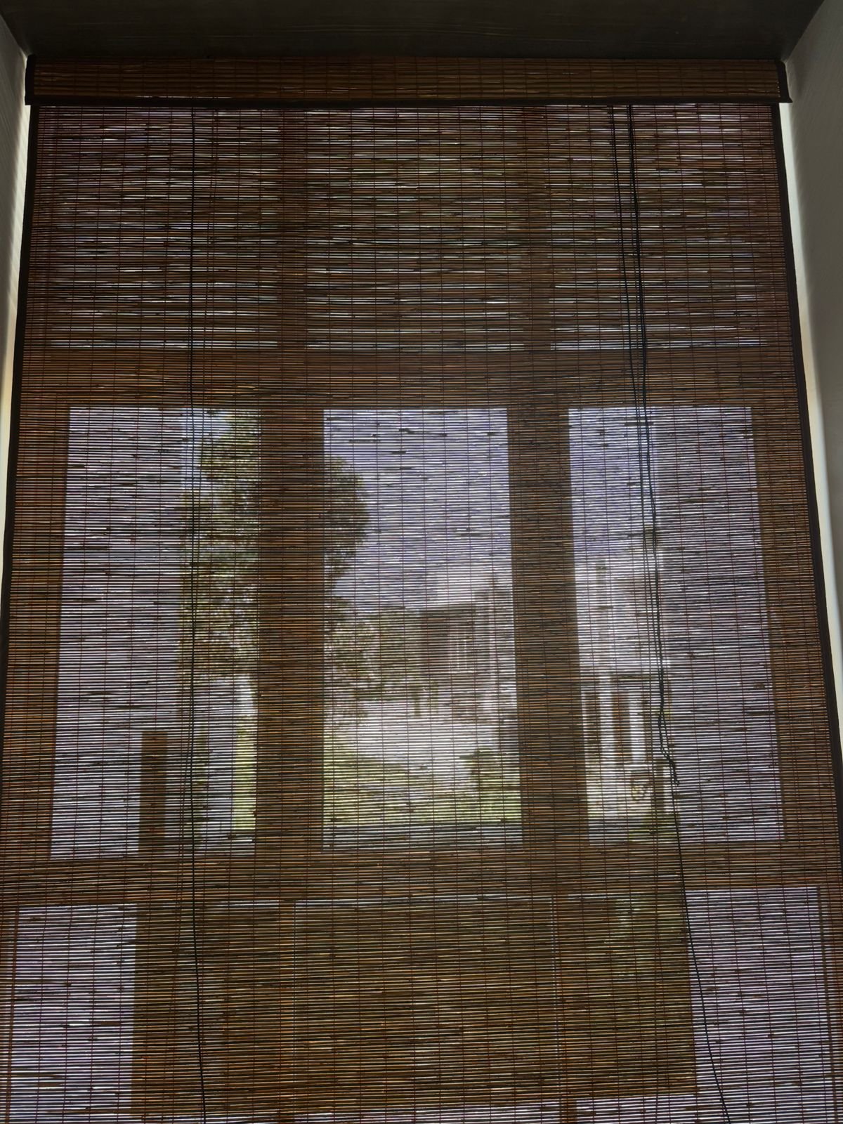 Other image 202602/bata-palali-in-sri-lanka-wedabima-eb9a4bc60f.jpeg