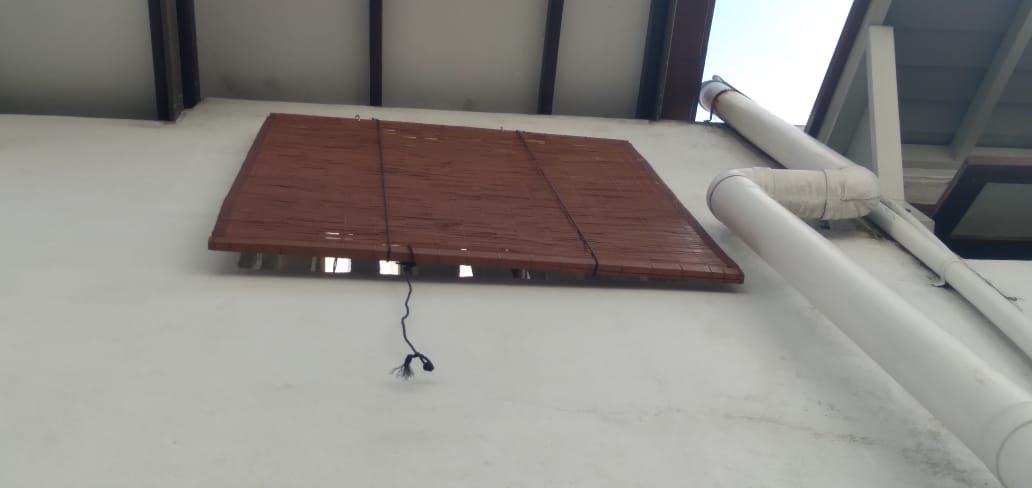 Other image 202602/bata-palali-sri-lanka-best-prices-wedabima-97d4ffa0cf.jpeg