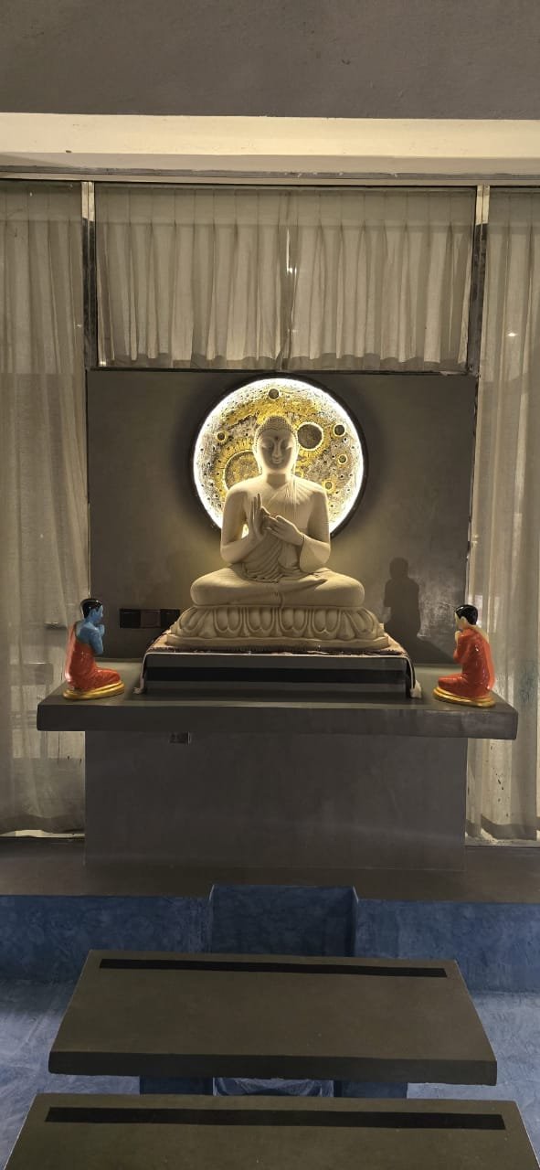 Other image 202602/titanium-works-price-in-katuwana-wedabima-2b2c72d653.jpeg