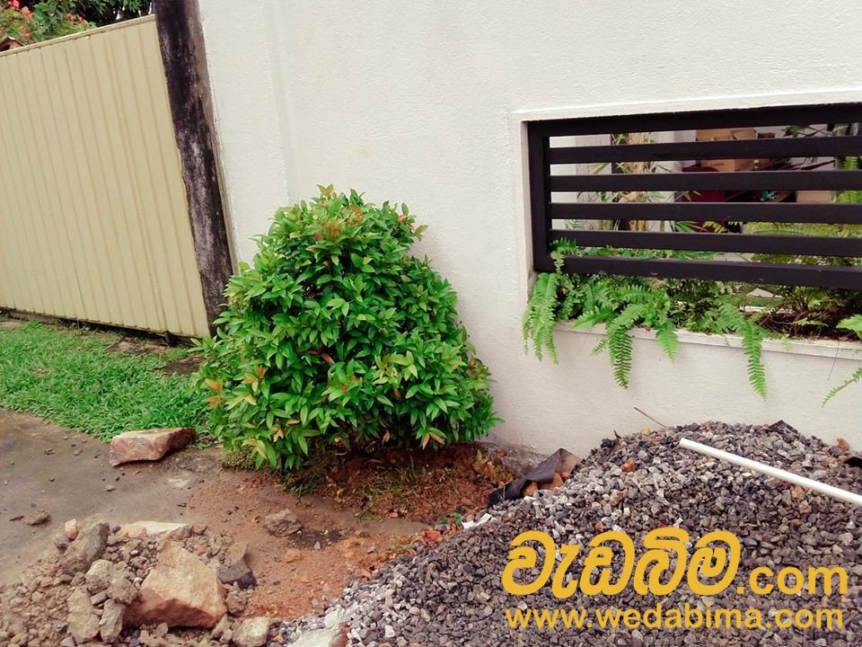 Other image wedabima.com_AHwV9mbnHKoXnQeFAs8vmLR70Ril2ehto5tTvzhf.jpeg