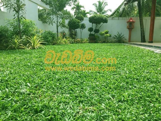 Other image wedabima.com_AYb1ocmzFqGNWFgsZkX5glxfWsEu5np4RQZTUdQb.jpeg