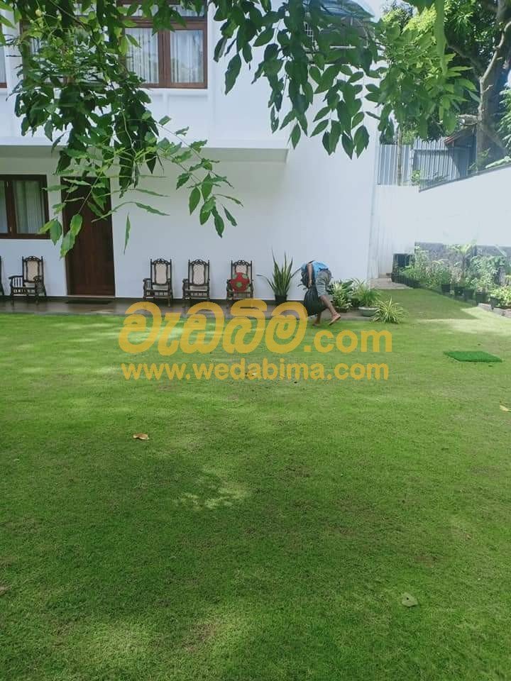 Other image wedabima.com_PIkwedtolcdgXCkbRkS78puZagOOPIwUezNUrYKg.jpeg