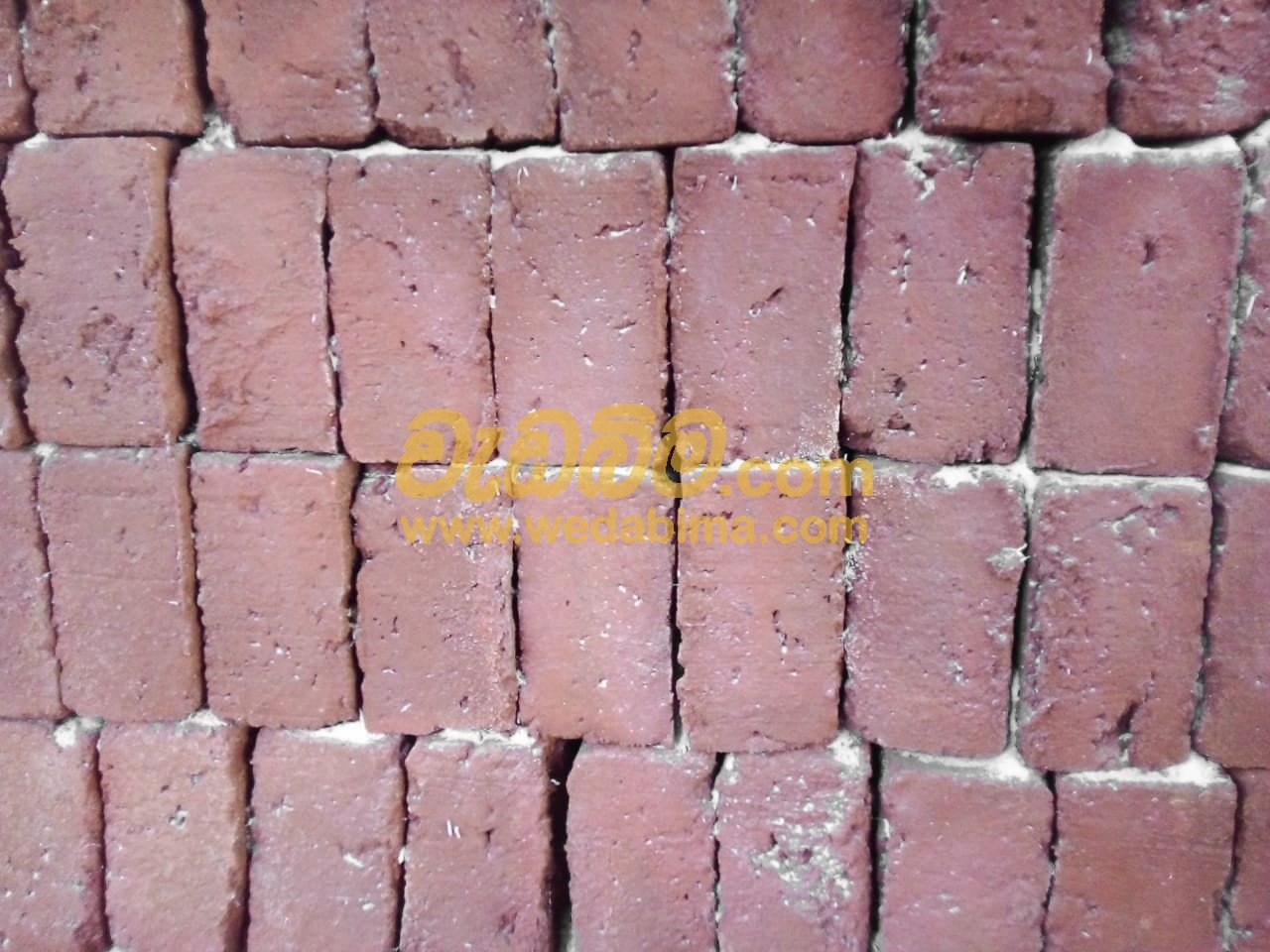 Other image wedabima.com_QkmuL8Xt7U5VisiPPw8eiOPlqX0cy8ctpJQwkipk.jpeg