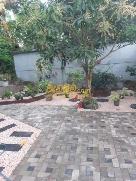 Other image wedabima.com_jwVI4307uYkO8KoCSqLP6nE6O9NuNMbuEBQpcl1O.jpeg